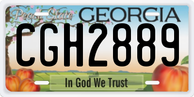 GA license plate CGH2889