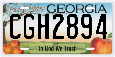 GA license plate CGH2894