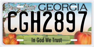 GA license plate CGH2897