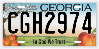 GA license plate CGH2974