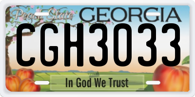 GA license plate CGH3033