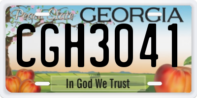 GA license plate CGH3041