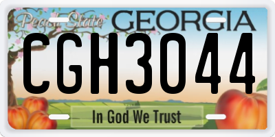 GA license plate CGH3044