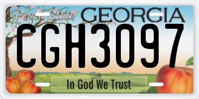 GA license plate CGH3097