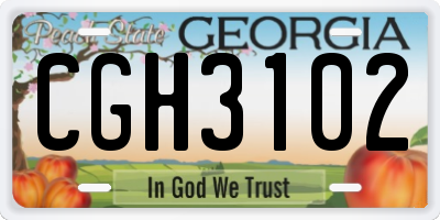 GA license plate CGH3102