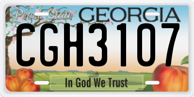 GA license plate CGH3107