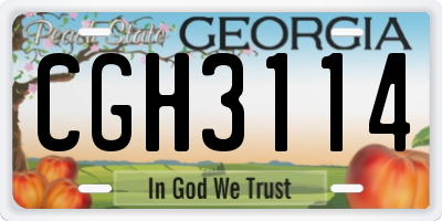 GA license plate CGH3114