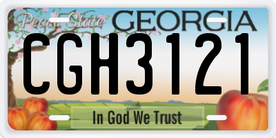 GA license plate CGH3121