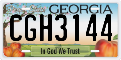 GA license plate CGH3144