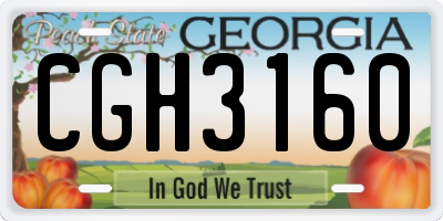 GA license plate CGH3160