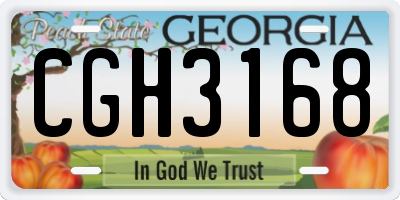 GA license plate CGH3168