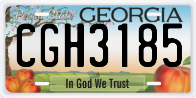 GA license plate CGH3185