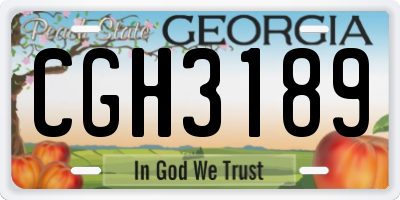 GA license plate CGH3189