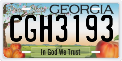 GA license plate CGH3193