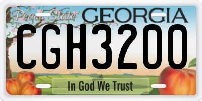GA license plate CGH3200