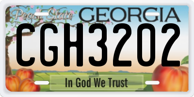 GA license plate CGH3202