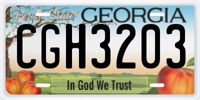GA license plate CGH3203