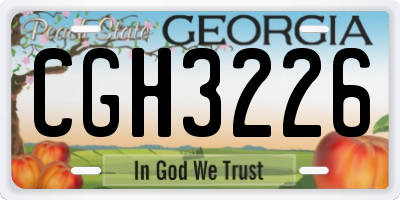 GA license plate CGH3226