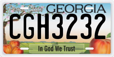 GA license plate CGH3232