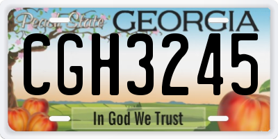 GA license plate CGH3245