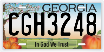 GA license plate CGH3248