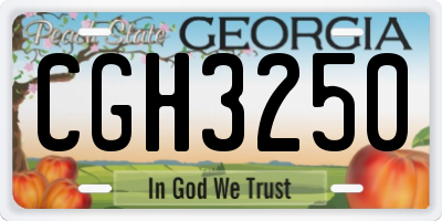 GA license plate CGH3250