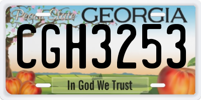 GA license plate CGH3253