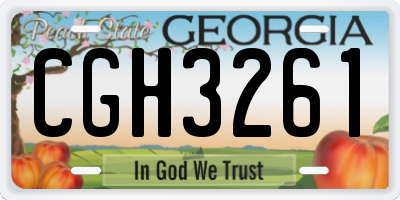 GA license plate CGH3261
