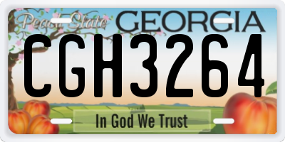 GA license plate CGH3264