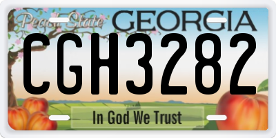 GA license plate CGH3282