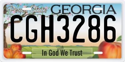 GA license plate CGH3286