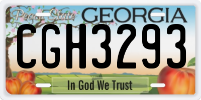 GA license plate CGH3293