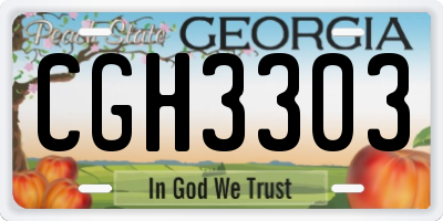 GA license plate CGH3303