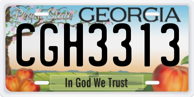 GA license plate CGH3313