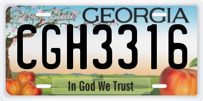 GA license plate CGH3316