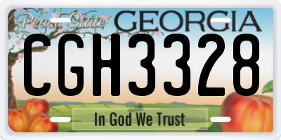 GA license plate CGH3328