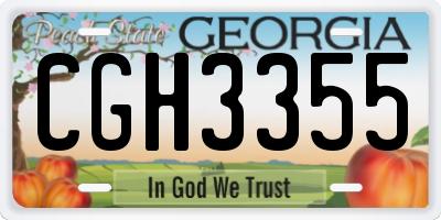 GA license plate CGH3355