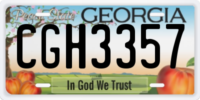 GA license plate CGH3357