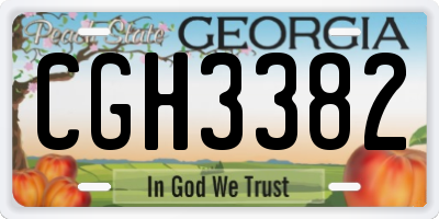 GA license plate CGH3382