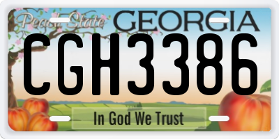 GA license plate CGH3386