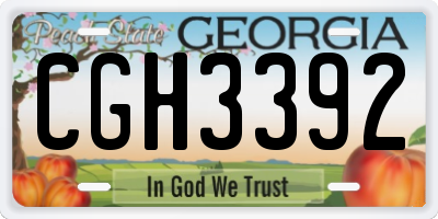 GA license plate CGH3392