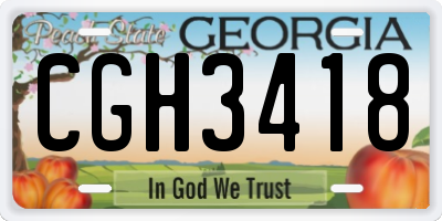 GA license plate CGH3418