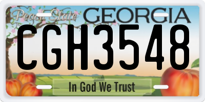 GA license plate CGH3548