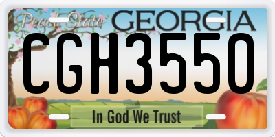 GA license plate CGH3550