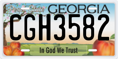 GA license plate CGH3582