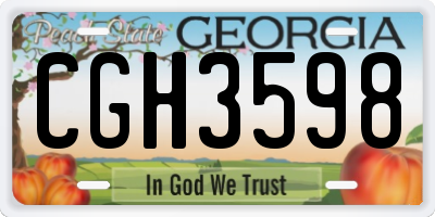GA license plate CGH3598