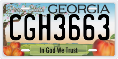 GA license plate CGH3663
