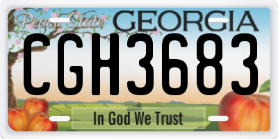 GA license plate CGH3683