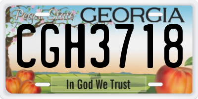 GA license plate CGH3718