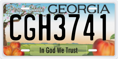 GA license plate CGH3741